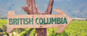 Arrow point to opportunities in British Columbia